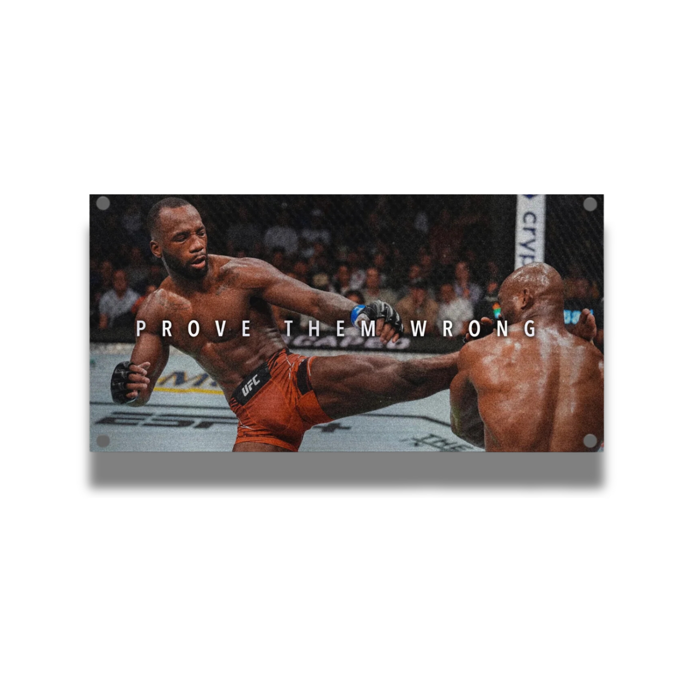 Prove Them Wrong UFC Wall Art